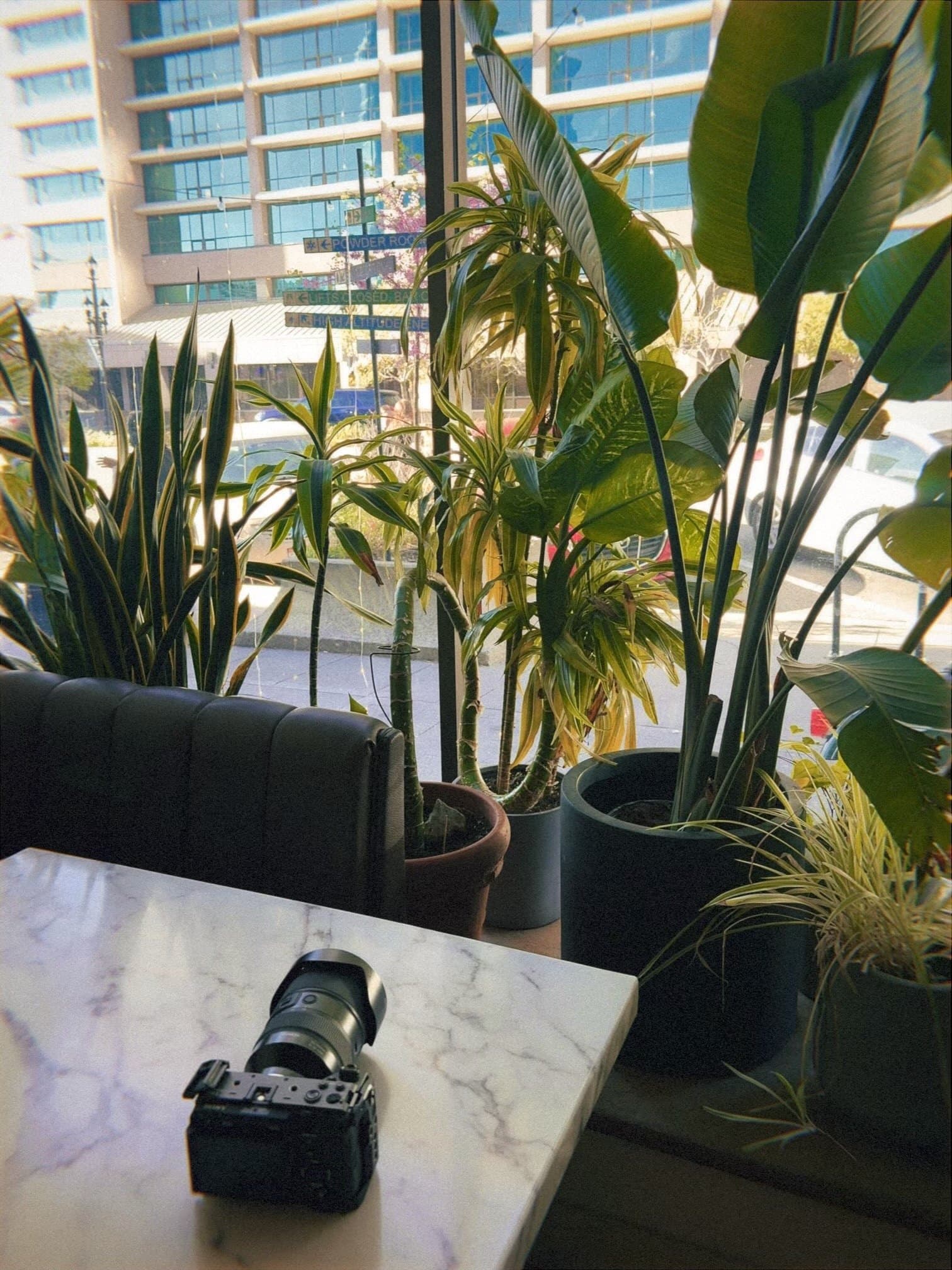 Ivy & Varley patio